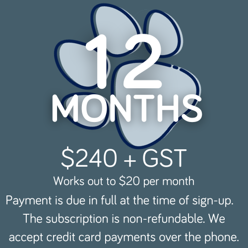 Connect 12 Month Subscription
