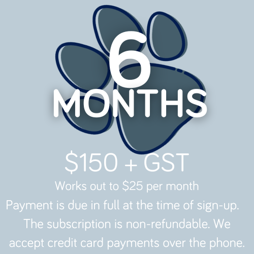 Connect 6 Month Subscription