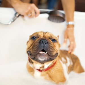 Medicated Bathing