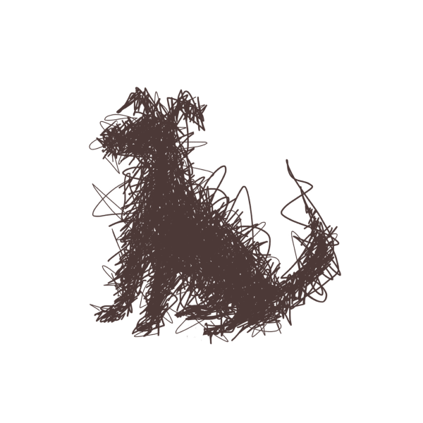 Dermatology Services