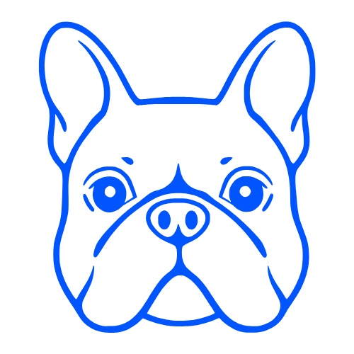 Brachycephalic Airway Surgery 