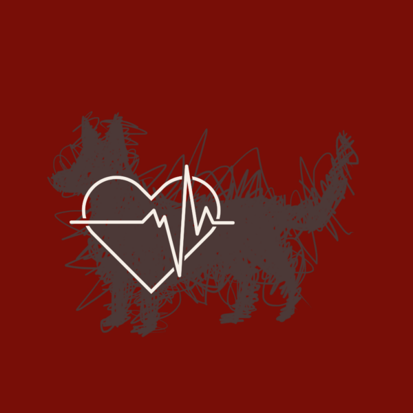 Cardiology Services