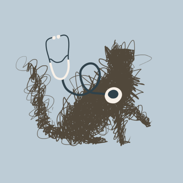 Internal Medicine Services